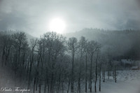 Winter 2015-2016